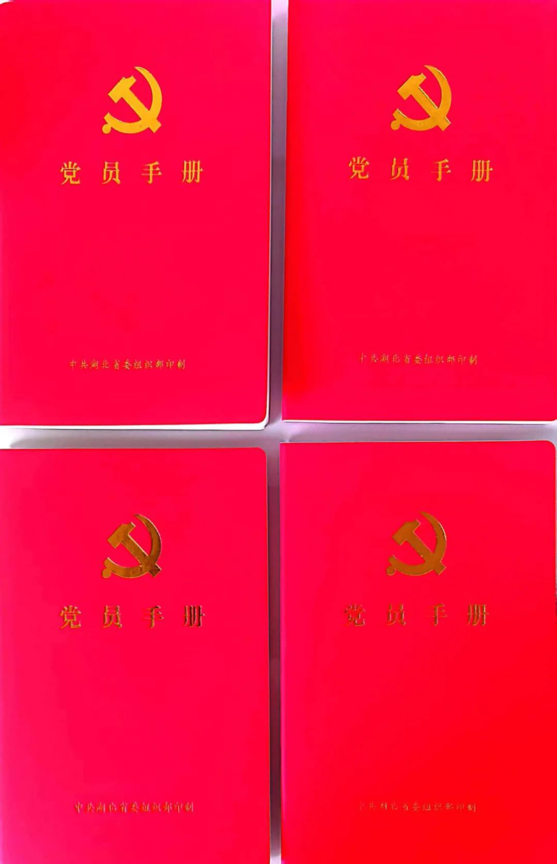 香港猛料免费资料